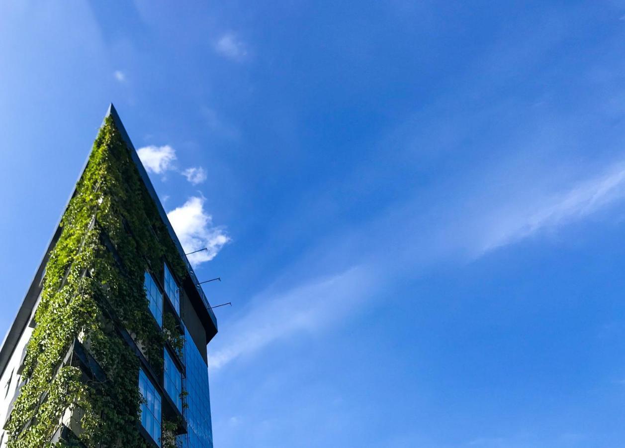 Naalt Hotel Joinville Dış mekan fotoğraf
